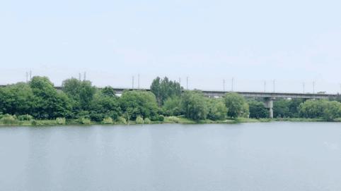 浐灞国家湿地公园最美地方,浐灞湿地公园有啥好玩的