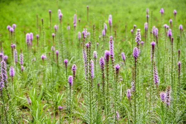北京好消息来了,北京市的好消息