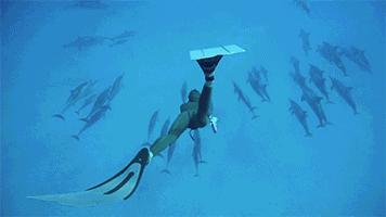 几条建议英文advice,十条小建议