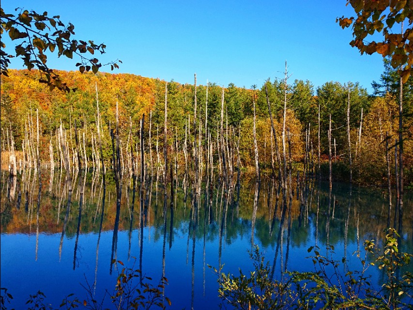 日本从南到北旅游路线,从南游到北