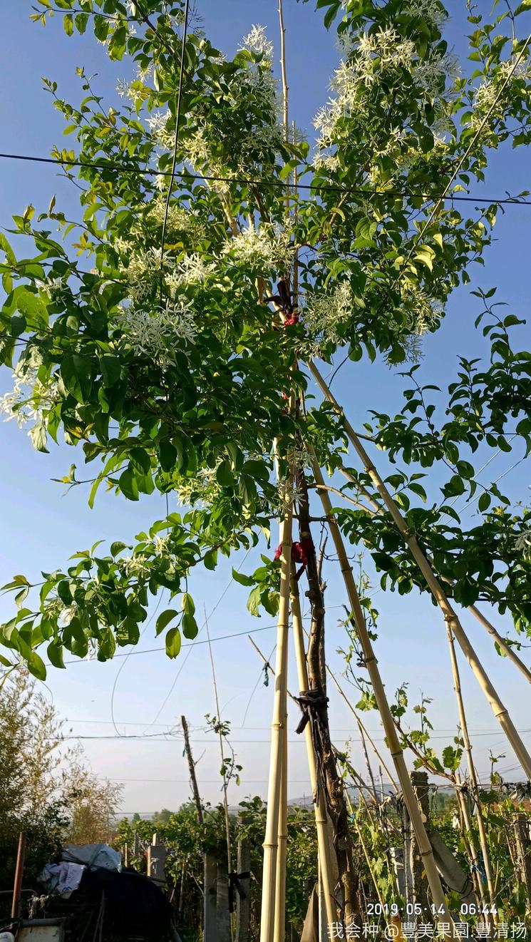 诗和远方在身边完整版,诗和远方在身边