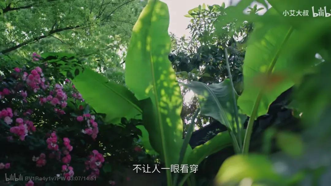 80%人对中式审美没信心？50岁大叔却花20年造园子，年轻人都喜欢