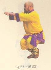 少林心意门拳视频教程,少林长护心意拳图解