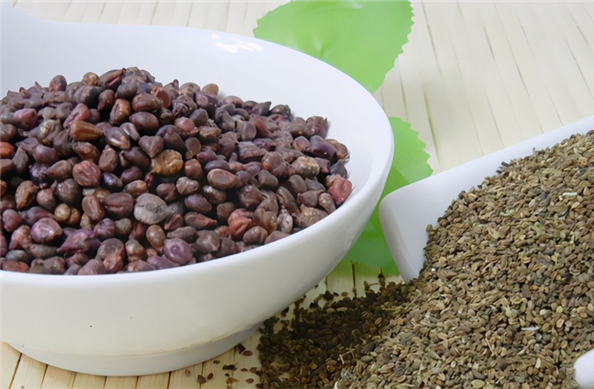 澳药健康芹菜籽精华素｜9斤鲜芹提取1粒