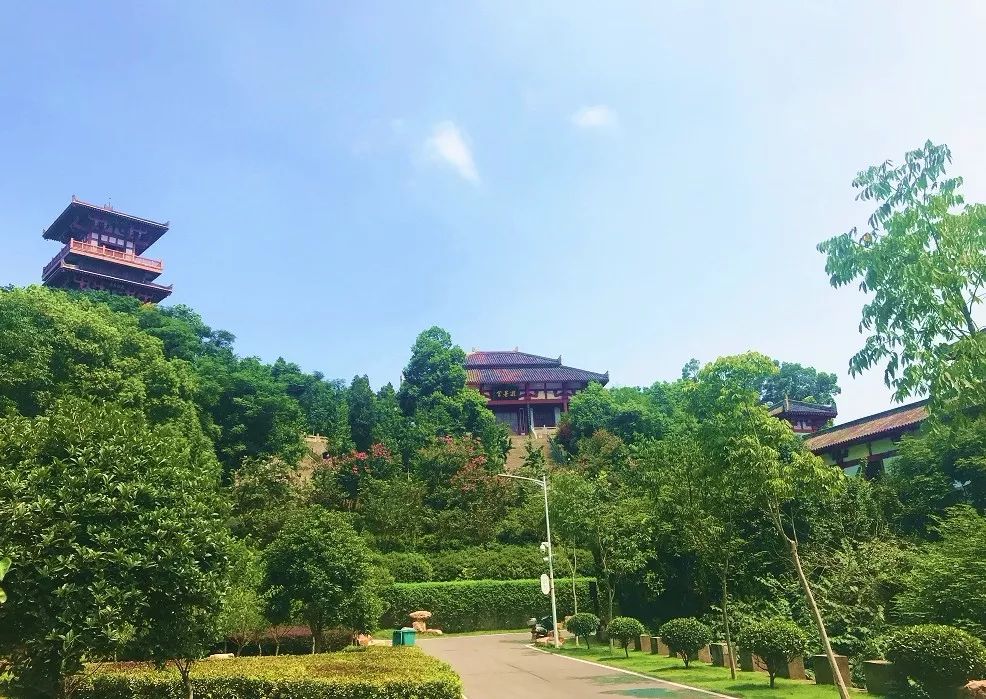 武汉地铁11号线延伸到鄂州机场,鄂州花湖机场地铁