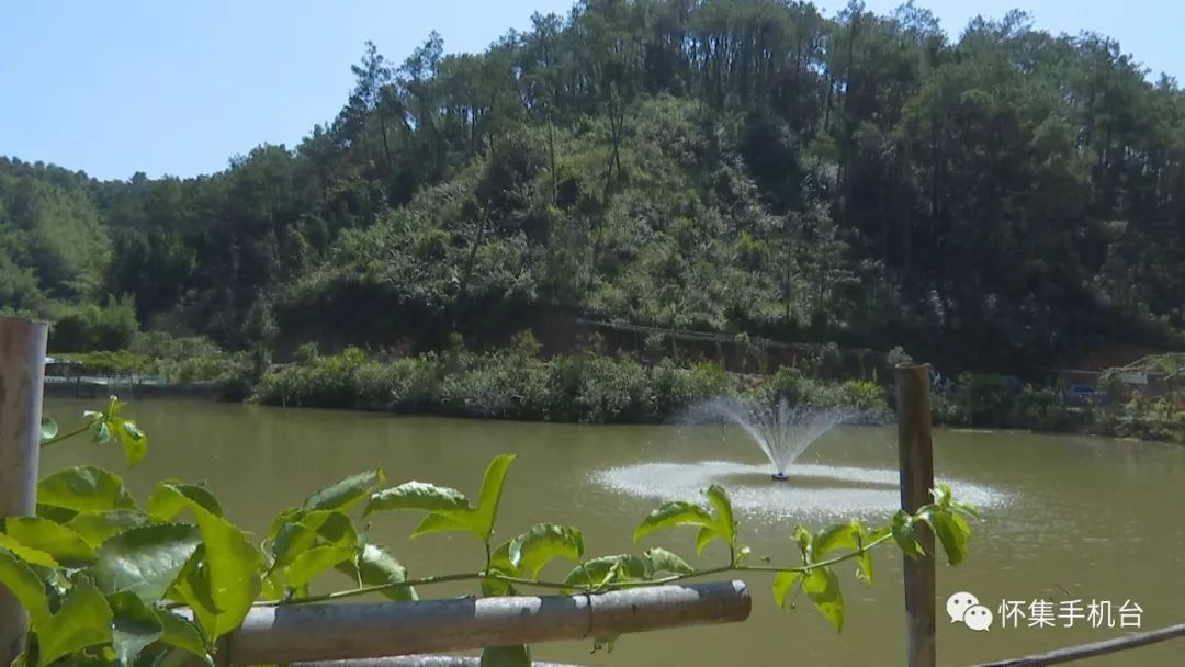 退役军人返乡创业个人简介,退伍军人乡村振兴创业事迹