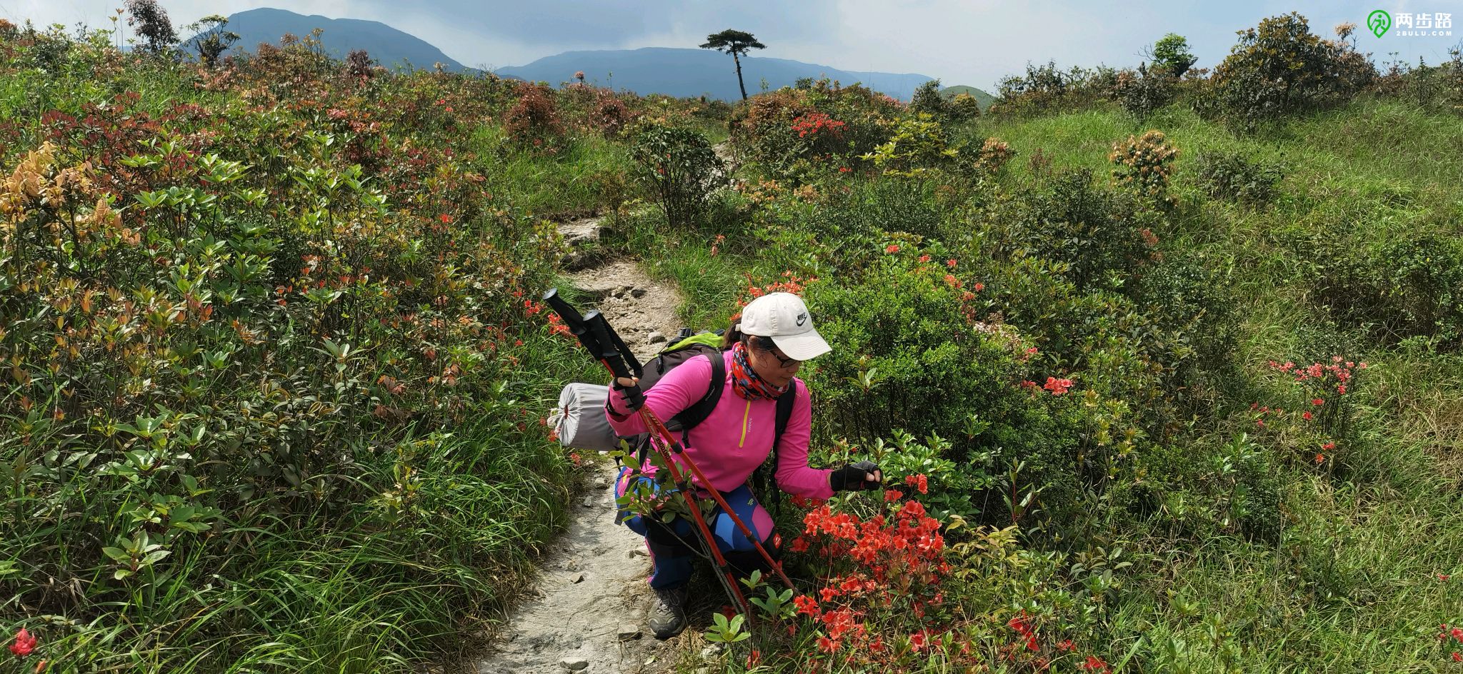 二天三夜邮轮游,两天三夜的海上旅行