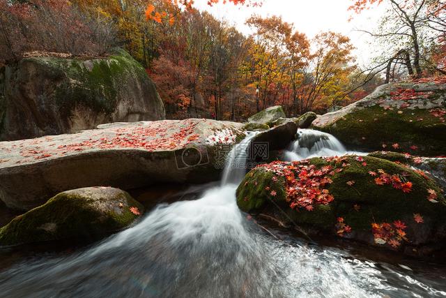 七言绝句春花二十首,春花平水韵七绝诗