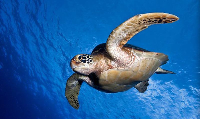 北京工体富国海底世界周一营业,北京工体富国海底世界旅馆