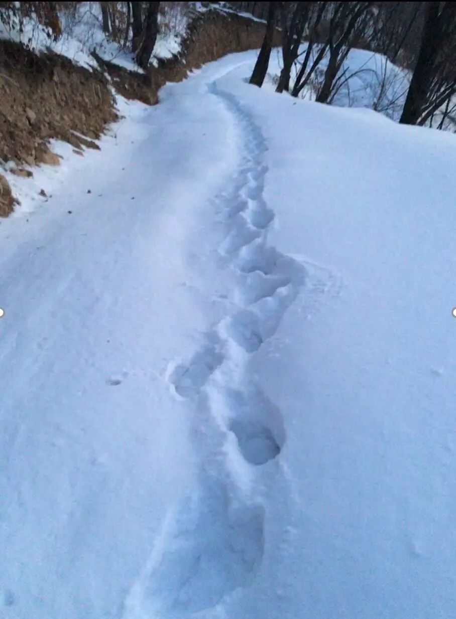 冰雪摄影心得,冰雪拍摄10个思路