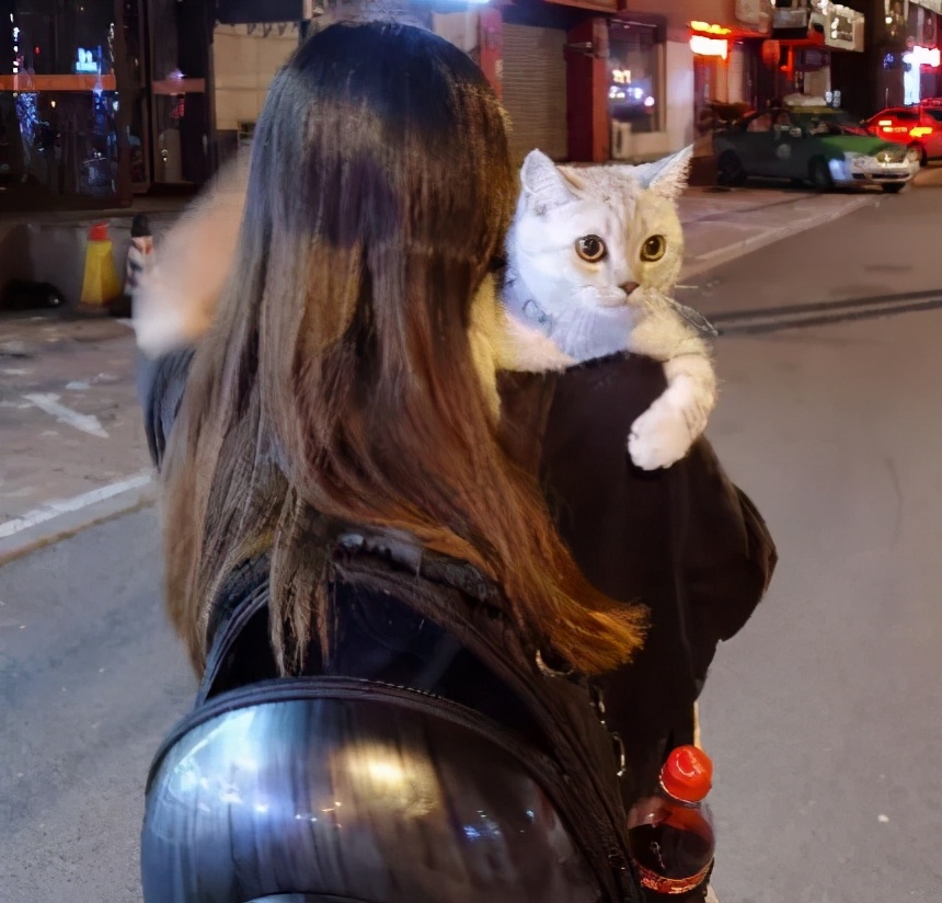 本以为养猫是为了不孤单,以为单身就可以自由