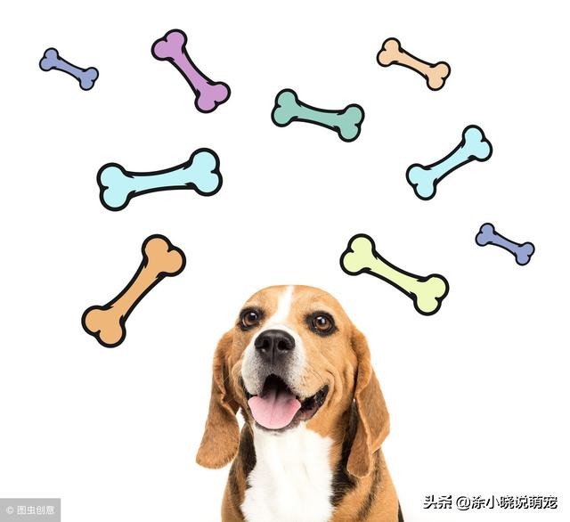 狗狗老年性震颤,狗狗缺钙抽搐和癫痫有什么区别