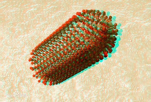 科普向——战“疫”进行时！三分钟看完世界病毒发现史！