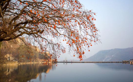 描述初冬的优美诗词,深秋初冬唯美诗句