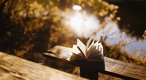 书香溢校园知识伴我行内容,书香满溢校园阅读伴我成长征文