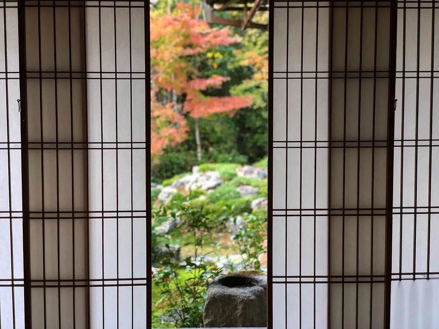 停车坐爱枫林晚风景,停车坐爱枫林晚季节