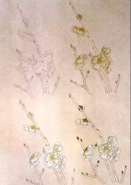 工笔梅花的分染上色教程,工笔梅花的10种设色技法收藏起来