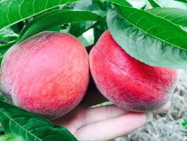 无接触配送安心宅家吃美食,无接触食品