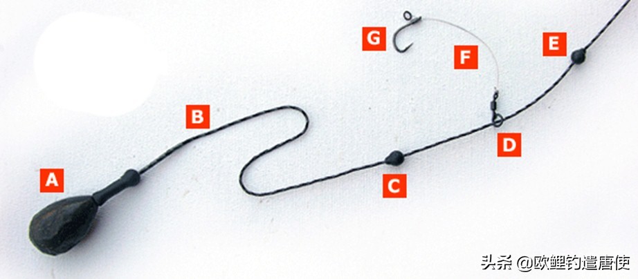 欧鲤钓钓组篇,欧鲤钓组和飞德钓组