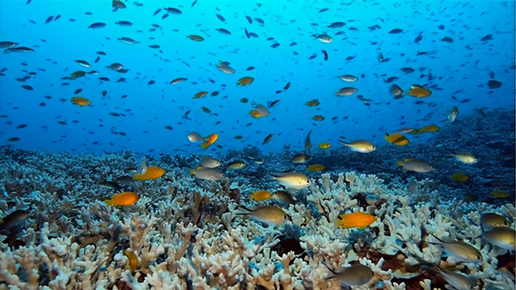 新马泰十日游的体验感想,新马泰旅游美景体验