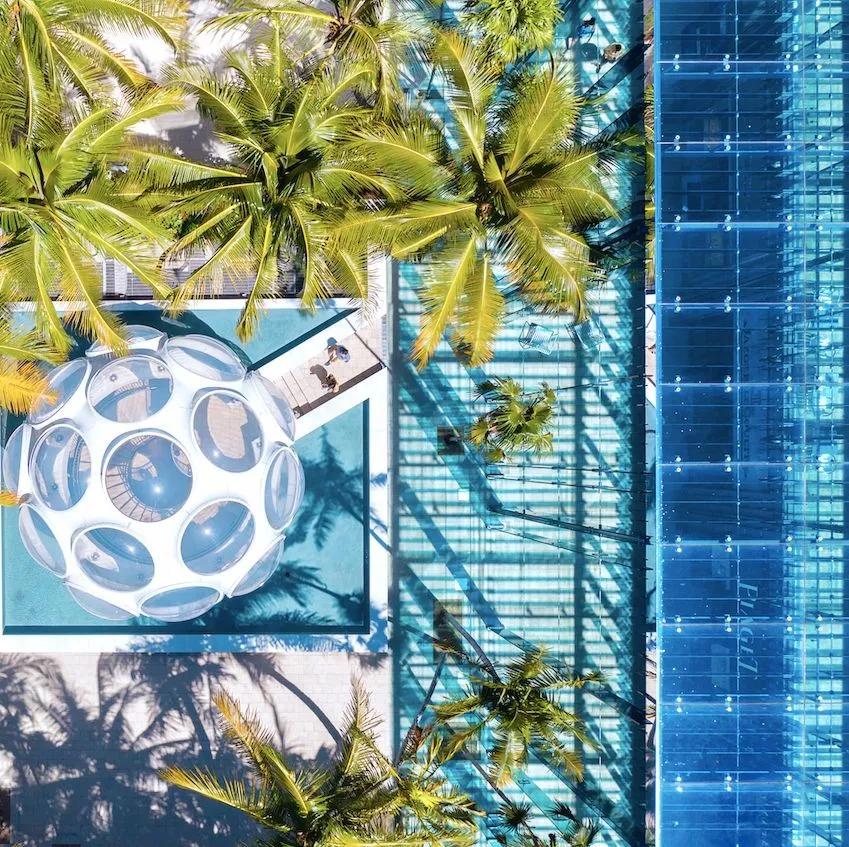 2017年迈阿密艺术博览会作品展示,2019年迈阿密魅力秀