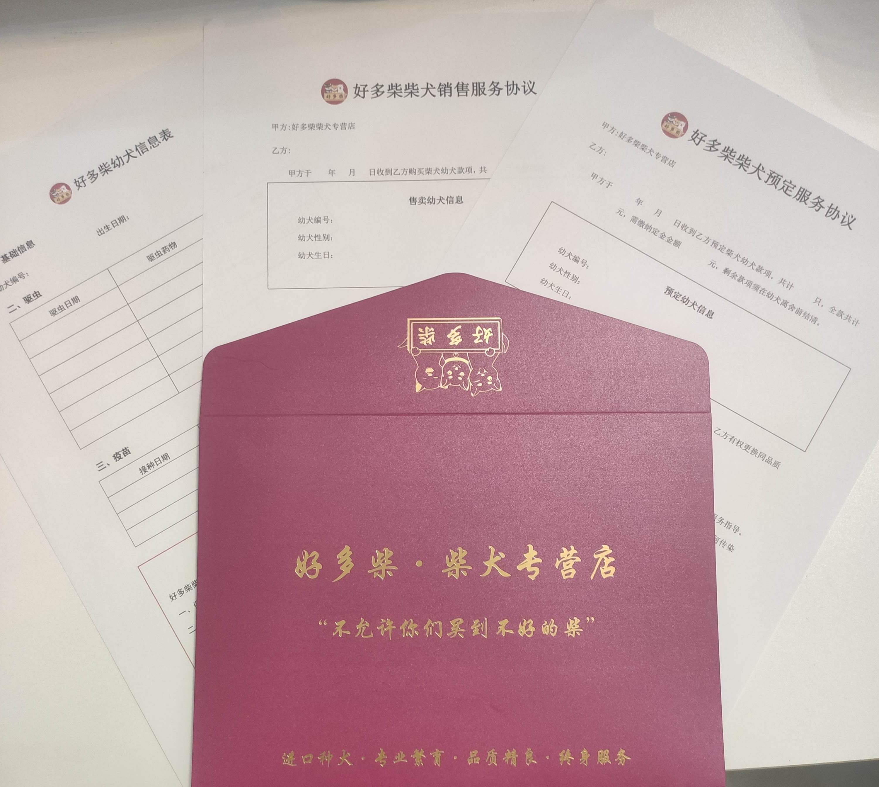 怎么辨别正规犬舍,如何判断犬舍