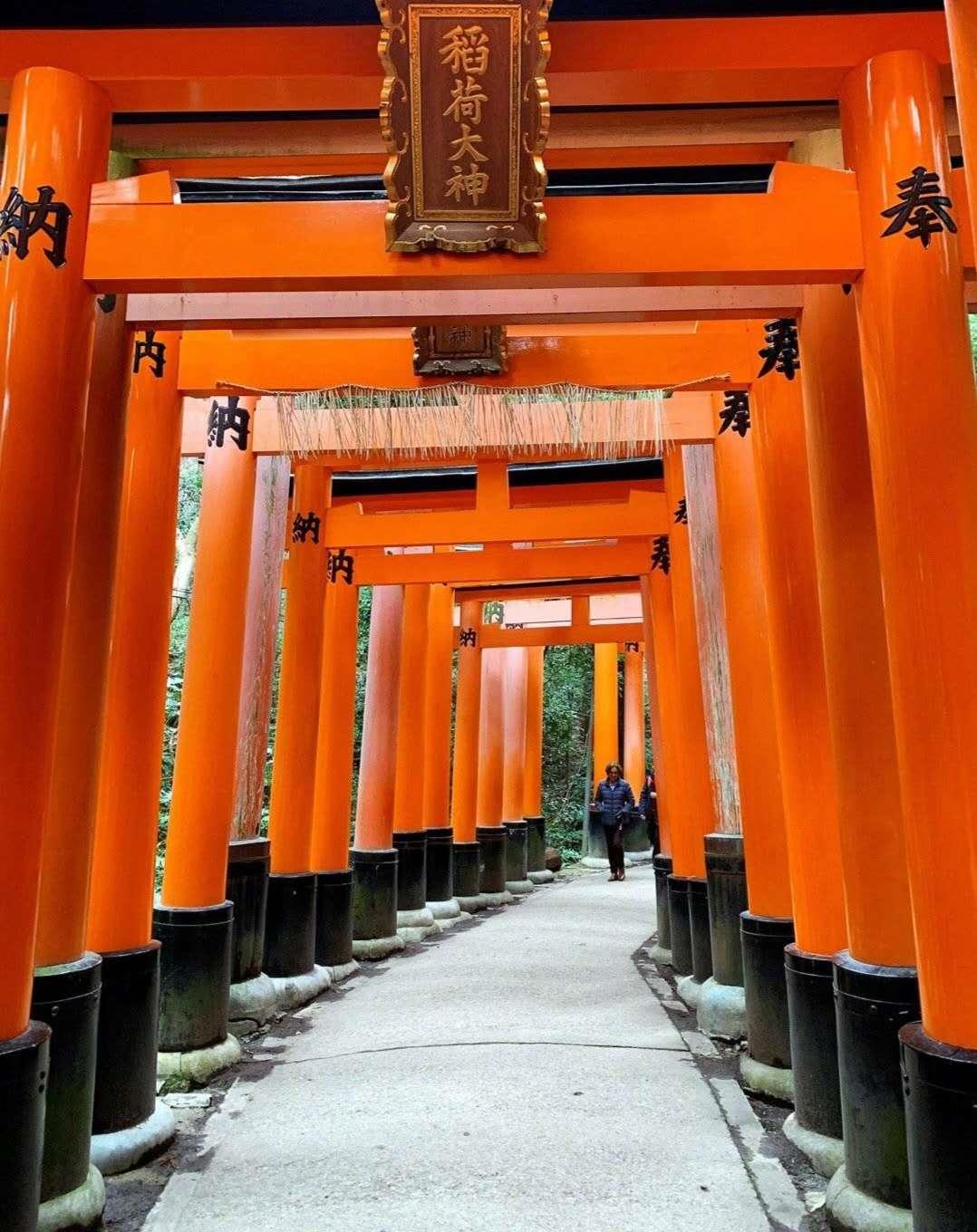 学生*党**暑假五千元开挂日本关西买买买!只需两百块,夏日浴衣体验