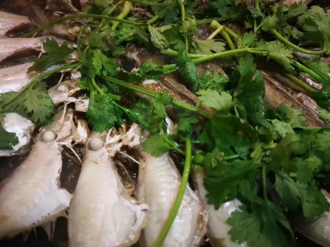 广州炊烟，对话孙晓枫