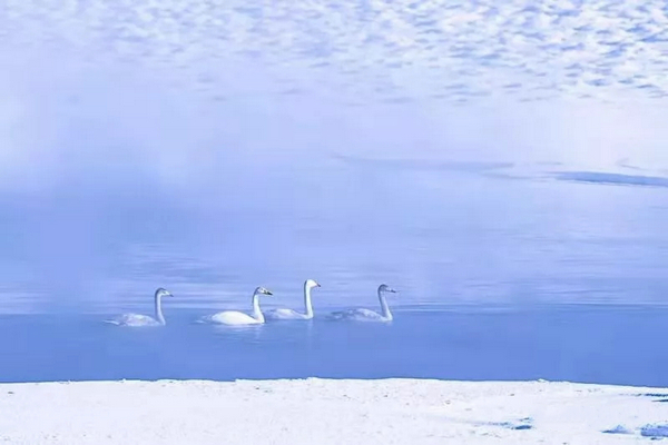 巴音布鲁克镇冬天的生活,巴音郭楞自治州和静县冬天
