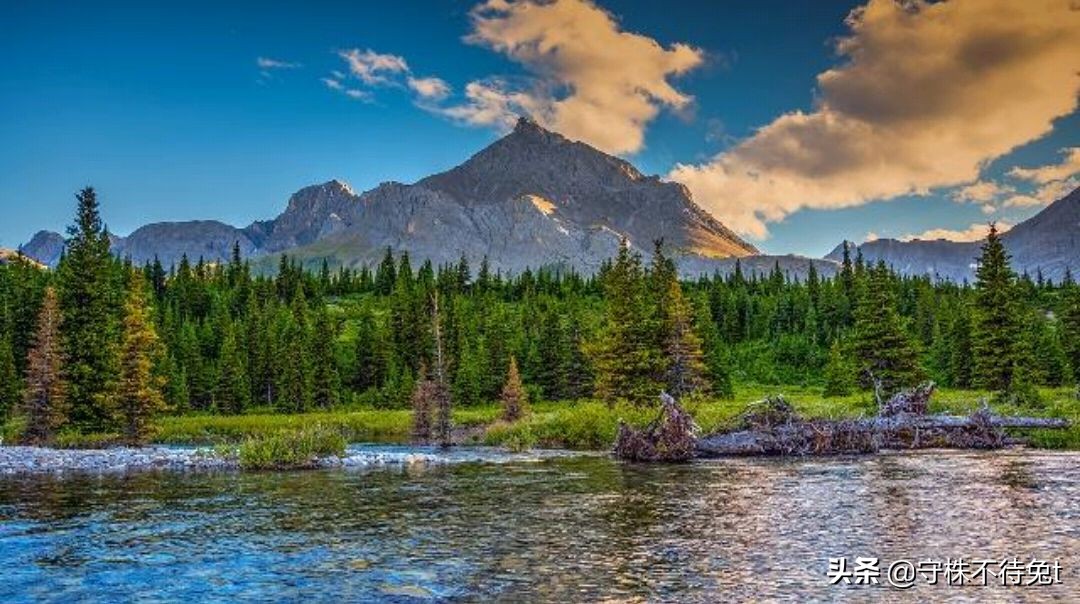 10个关于人类身体的冷知识,十个冷知识人类