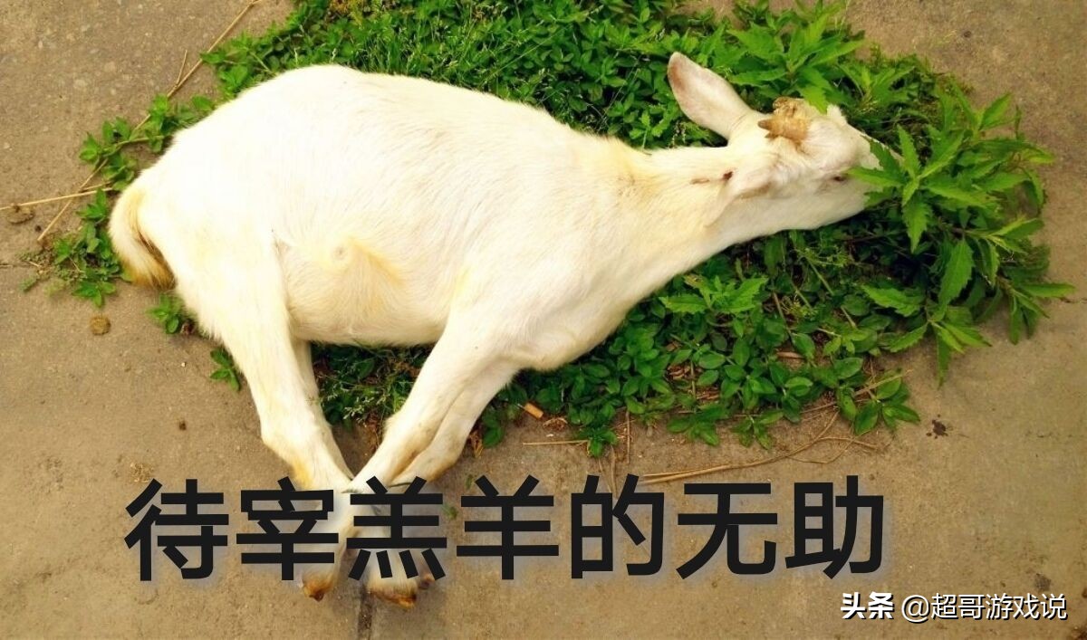 “用户只有使用权，被盗还需赔偿”，腾讯霸道如斯，用户皆是羔羊