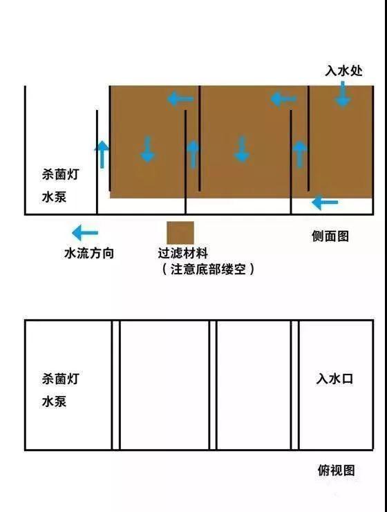 小鱼缸都适合养什么,小鱼缸都适合养啥