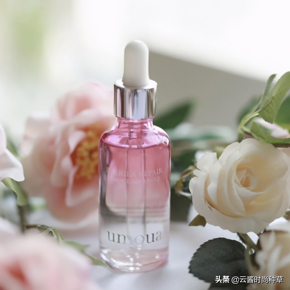 公认好用的大牌精华,推荐几款性价比高的精华