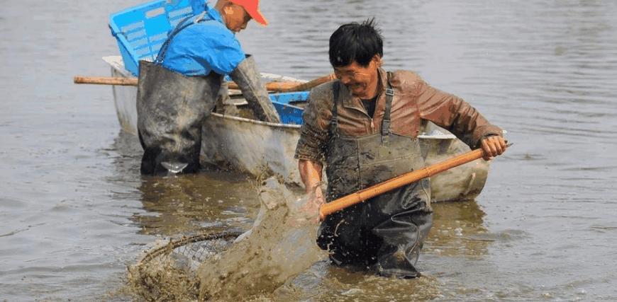 钓鱼人崩溃的时刻,钓鱼人崩溃瞬间