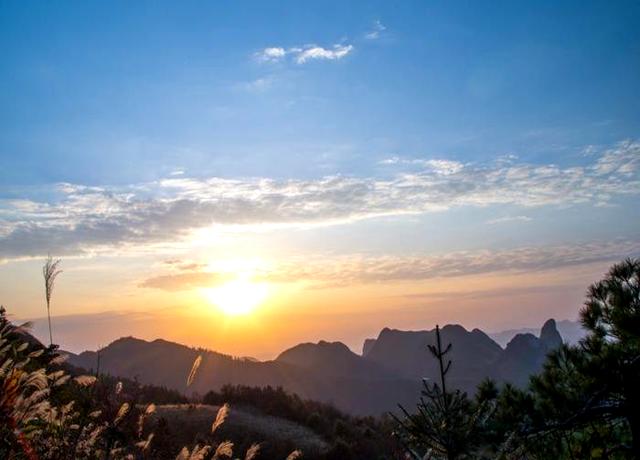 圈虎行全文,圈虎行诗句