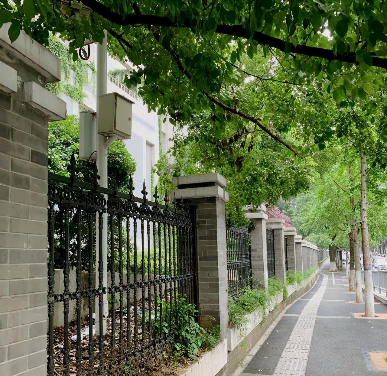 国立中央大学江苏大学,国立中央大学有哪些著名教授