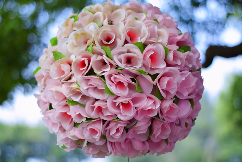 花苞半开就脱落,花苞掉了一地怎么办