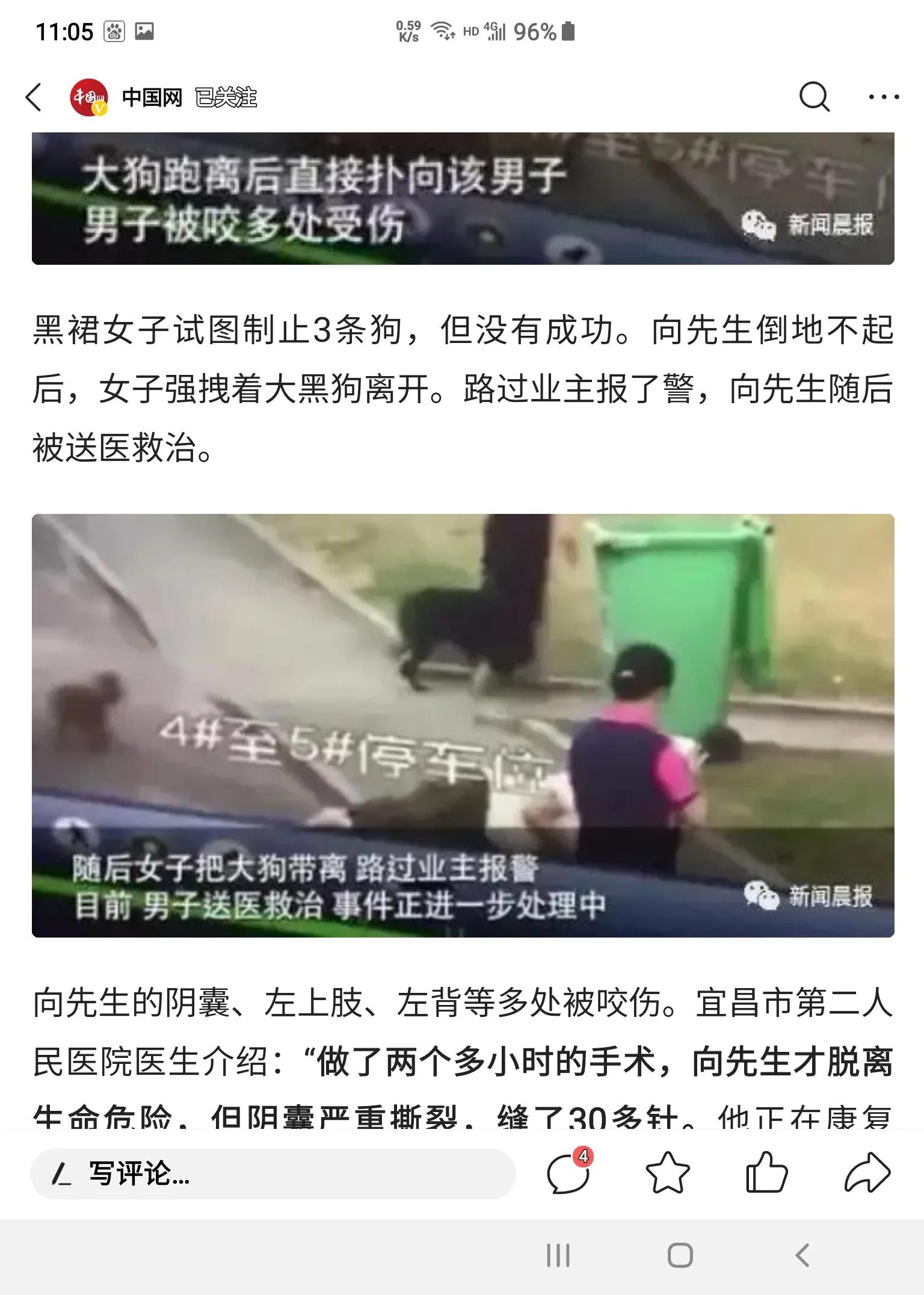 散步遇到狗怎么办,老人散步被狗咬伤
