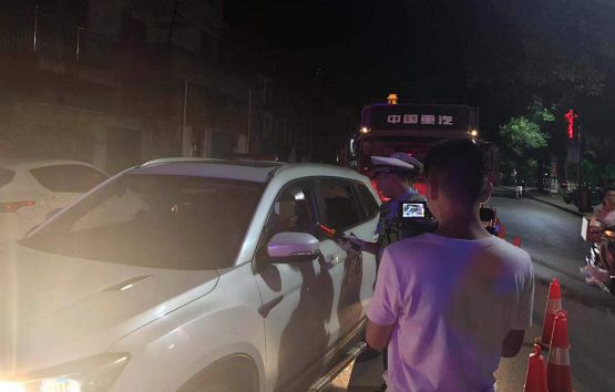 桂林一晚查获38只醉猫”，这种行为等于谋杀！