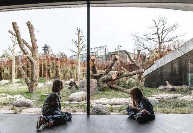 外国到底有多喜欢大熊猫,外国人是有多喜欢大熊猫