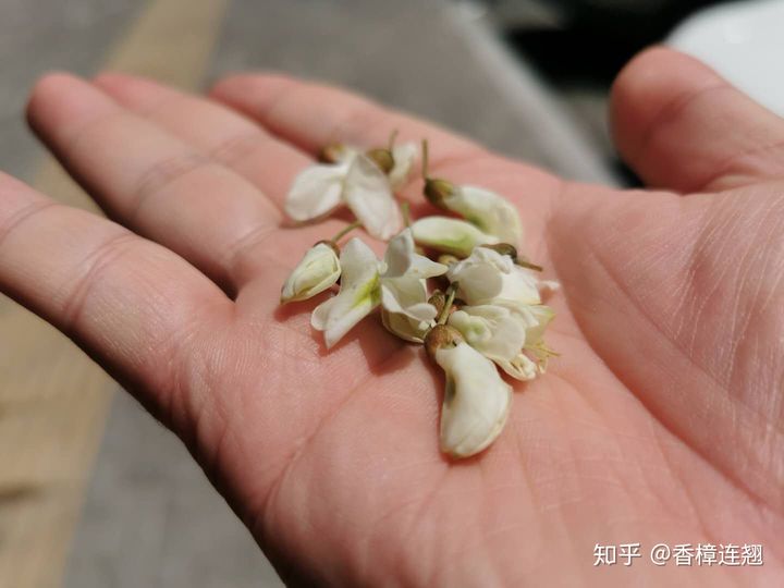 在大连生活怎么样,在大连生活十年是什么体验