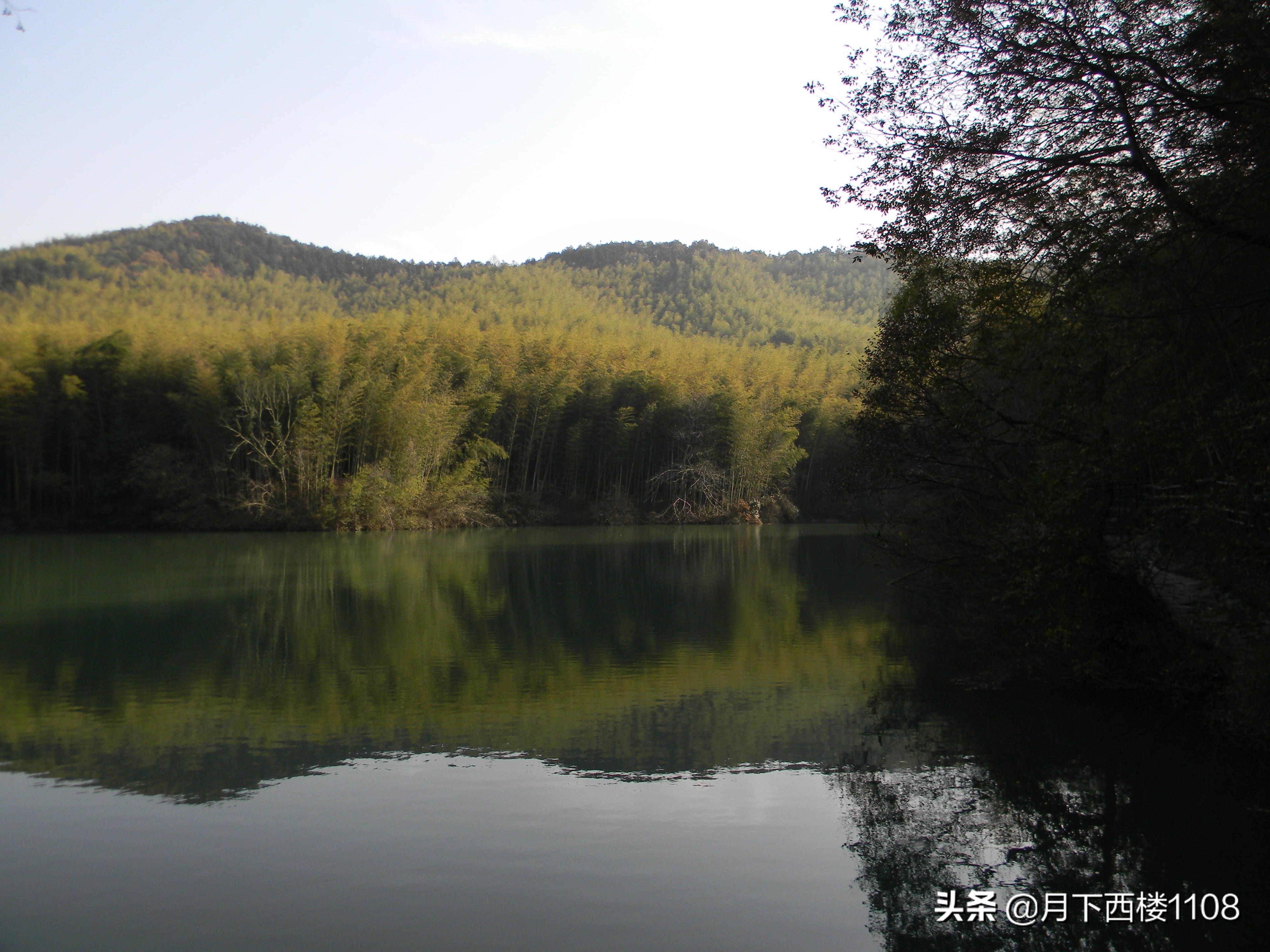 南京石塘竹海照片,南京石塘竹海公园