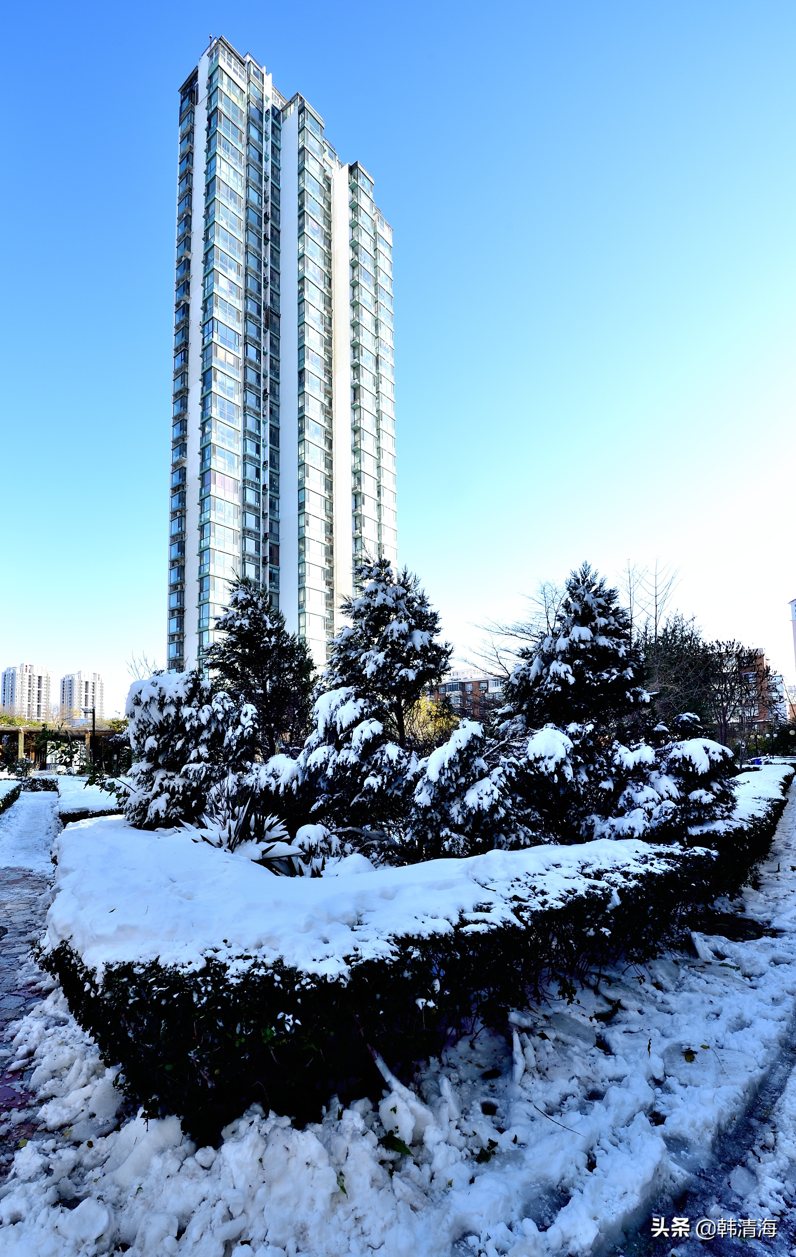 天津2022年雪景,天津第一场雪的美景