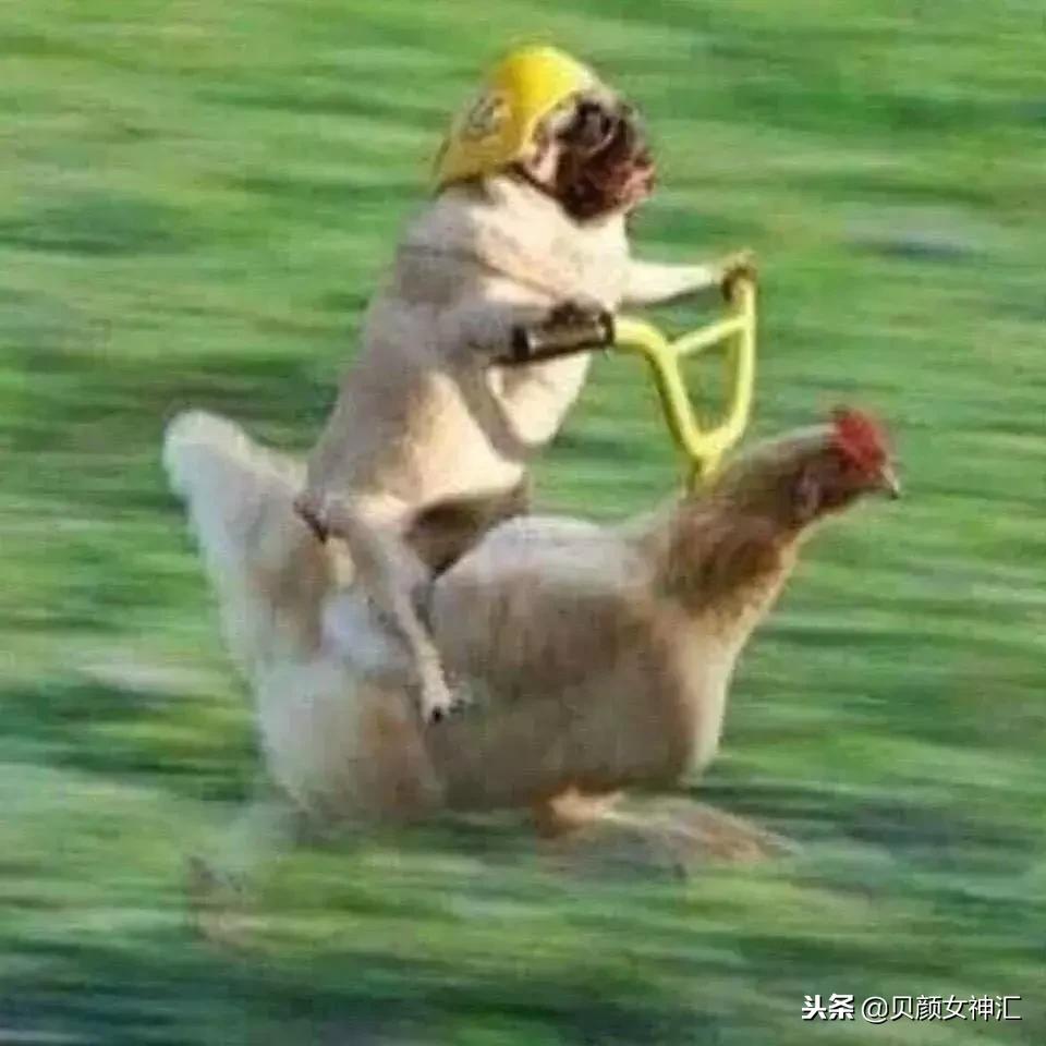 不好用的网红化妆水 (最难用的网红化妆水)