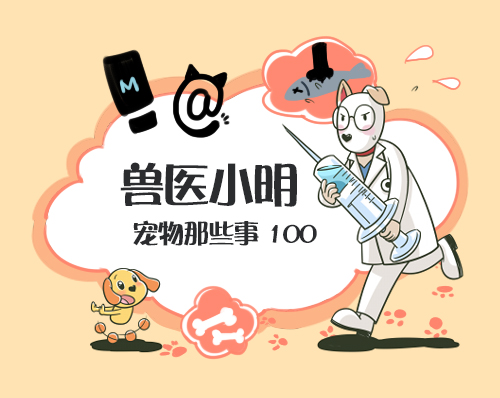 狗狗为什么总喜欢喝自来水,狗狗不怎么爱喝水是什么原因