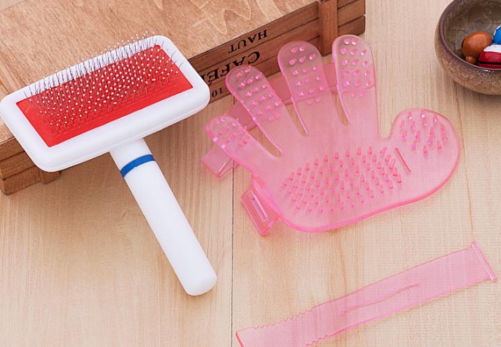 阿拉斯加严重掉毛怎么办,阿拉斯加掉毛严重怎么办