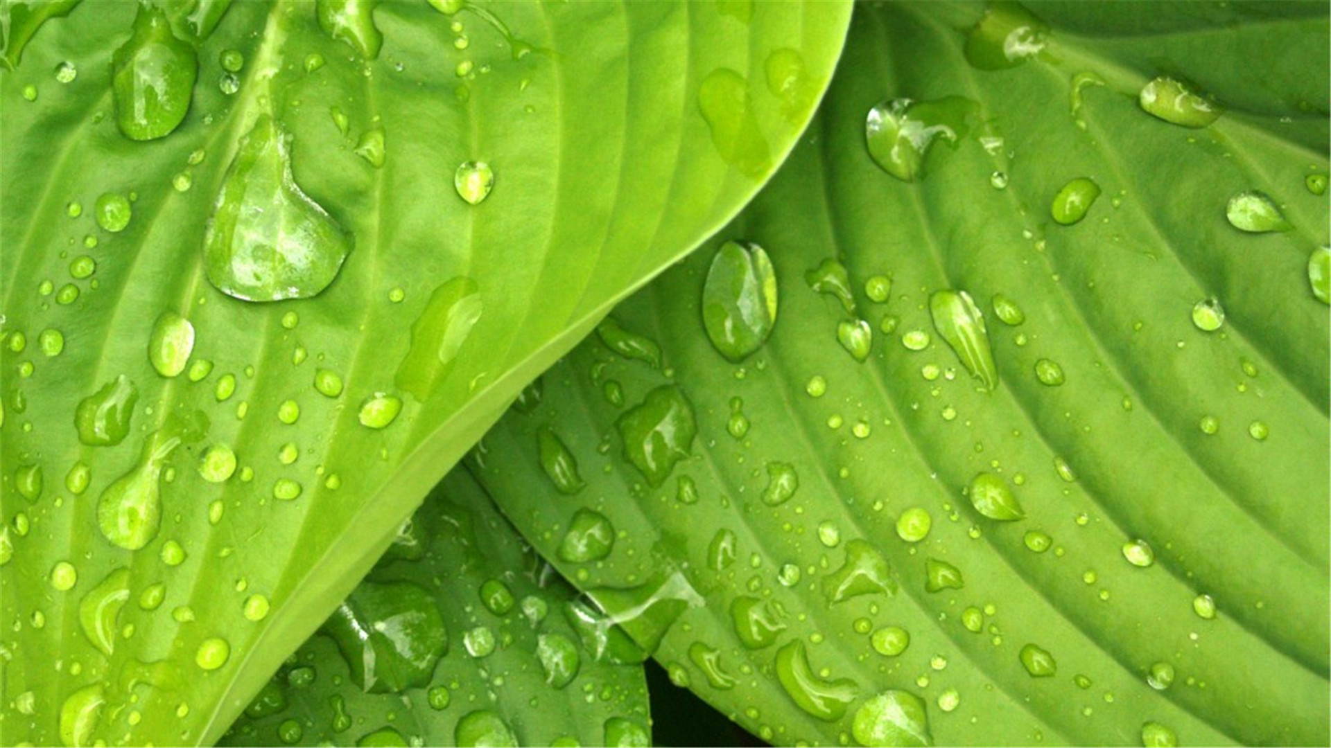 蓝色护眼壁纸唯美图片,最美的护眼桌面壁纸