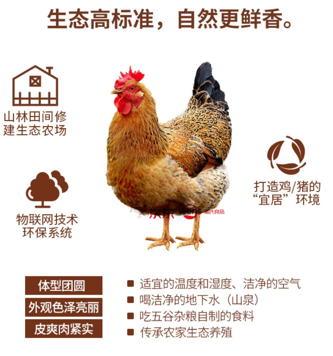 支招七大类厨房电器选购全攻略,新手厨房必买厨电推荐