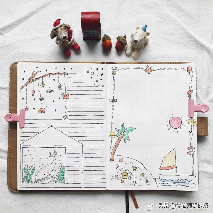 书的海洋手抄报怎么画,海洋生命大揭秘手抄报