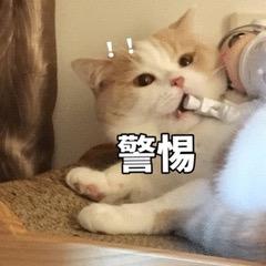 几百块就买名牌包,几百块可以入手的大牌